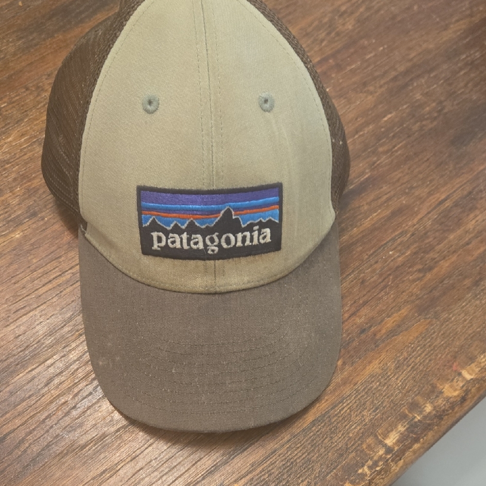 Patagonia Two-Tone Trucker Hat